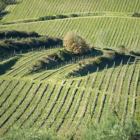 My Exclusive Italy - Chianti With Infinity Pool And Vineyard View